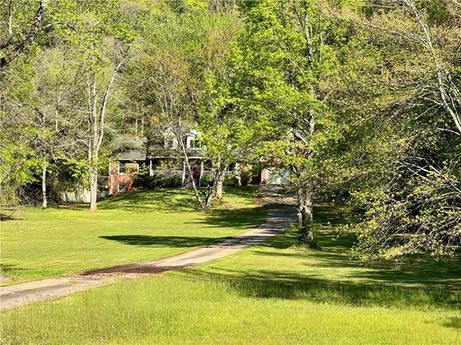 Media Image 3