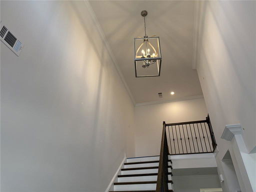 Media Image 3
