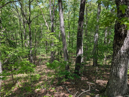 Media Image 3