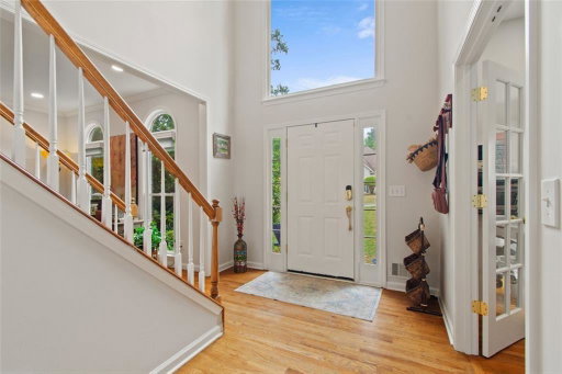Media Image 3