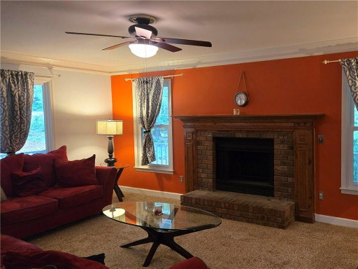 Media Image 2