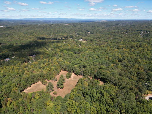 Media Image 2