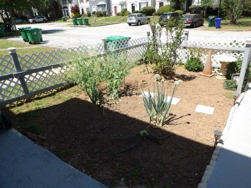 Media Image 3