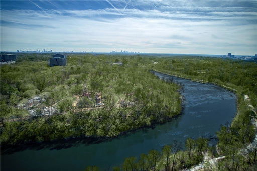 Media Image 2