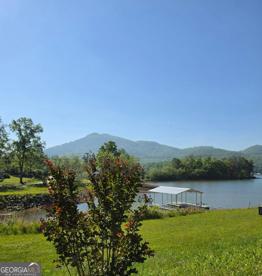 Media Image 2