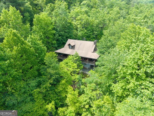 Media Image 2