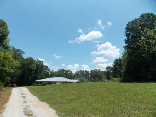 Media Image 3