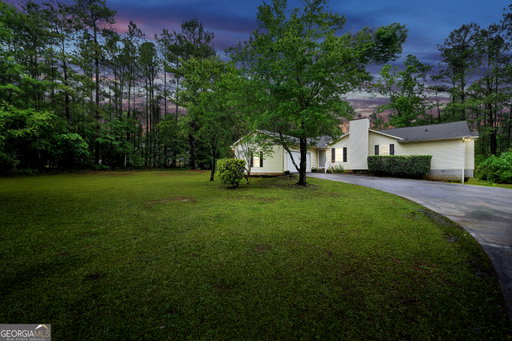 Media Image 3