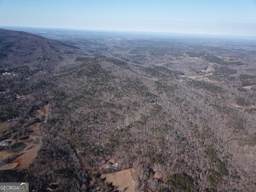 Media Image 2