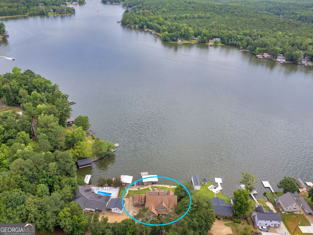 Media Image 1