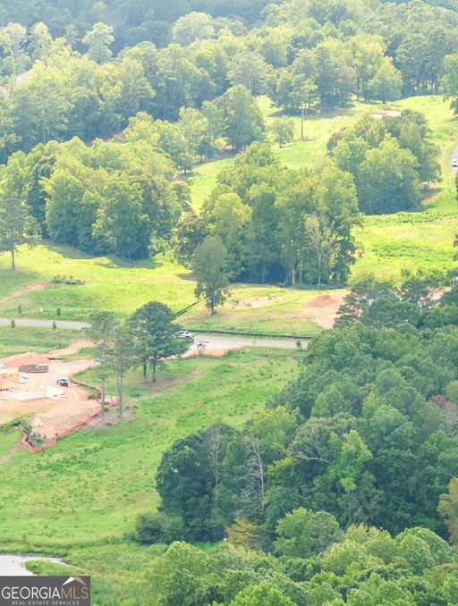 Media Image 2