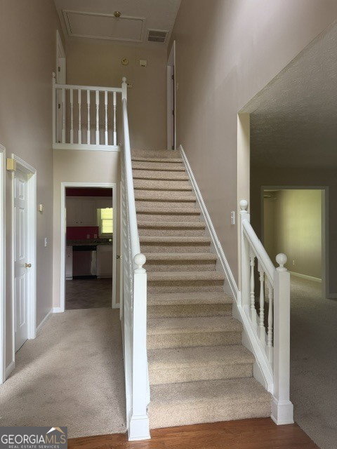 Media Image 3