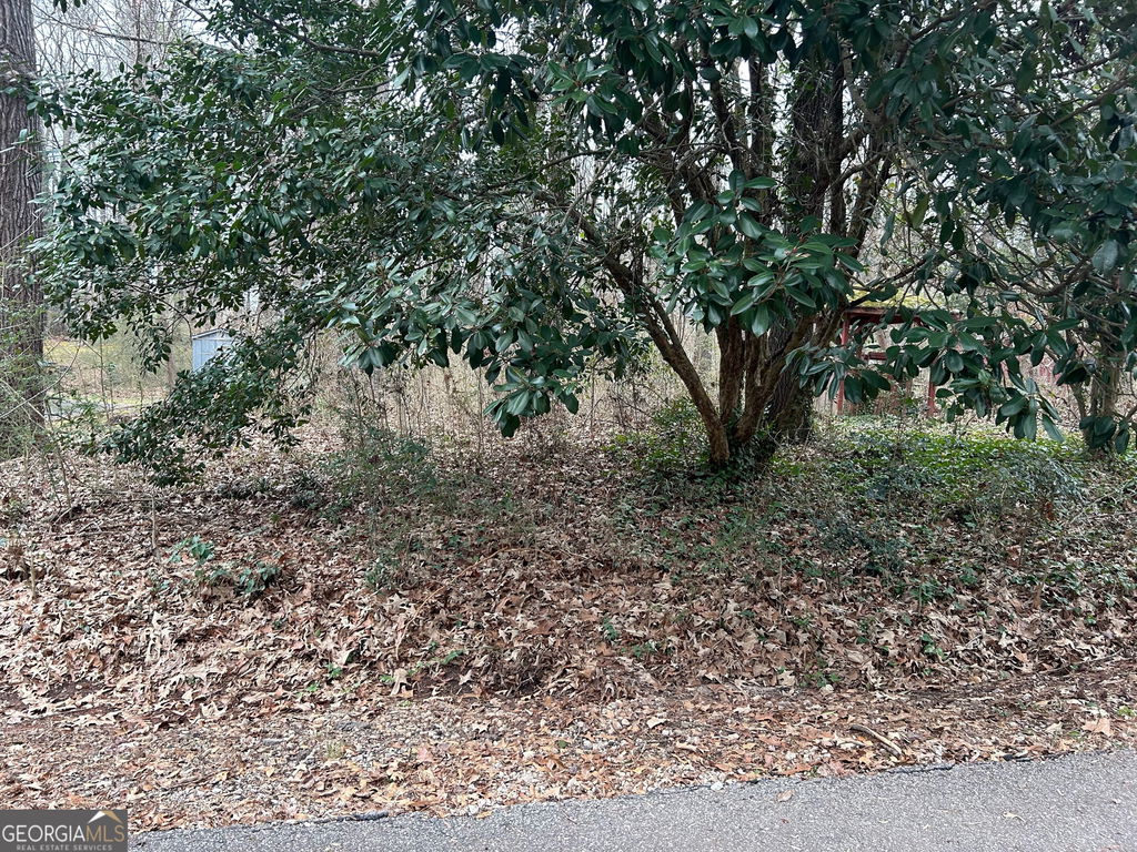 Image Unavailable