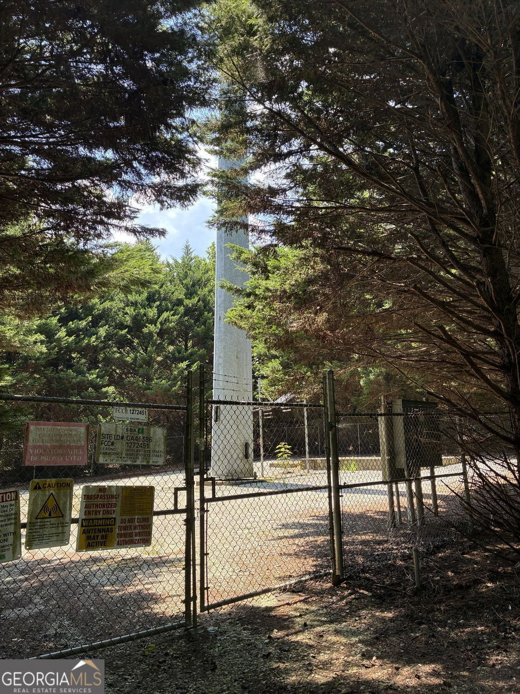 Media Image 1