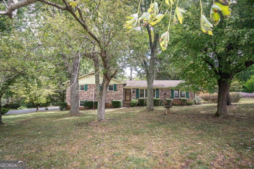 Media Image 3