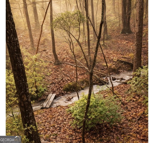 Media Image 3