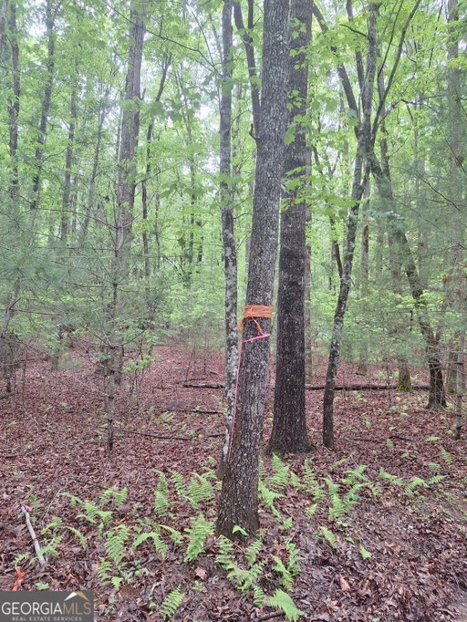 Media Image 2