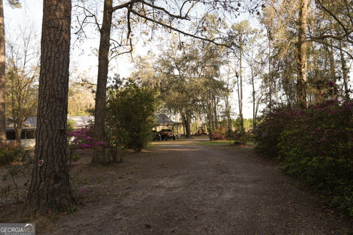 Media Image 2