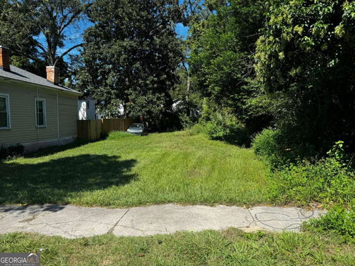 Media Image 2