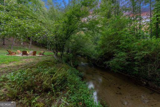 Media Image 2