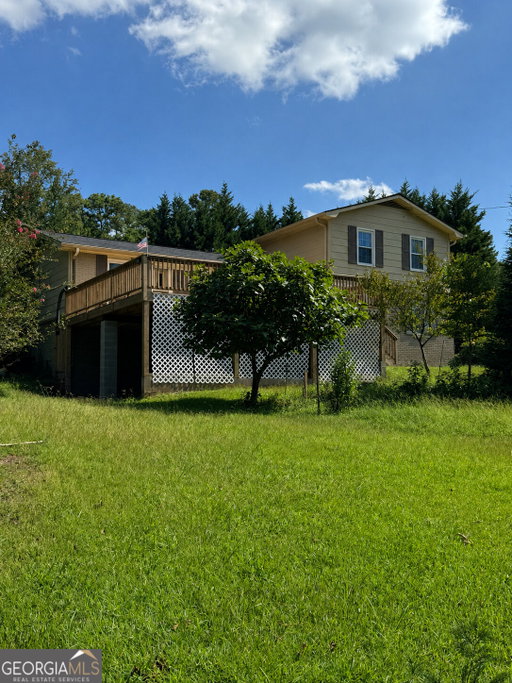 Media Image 2