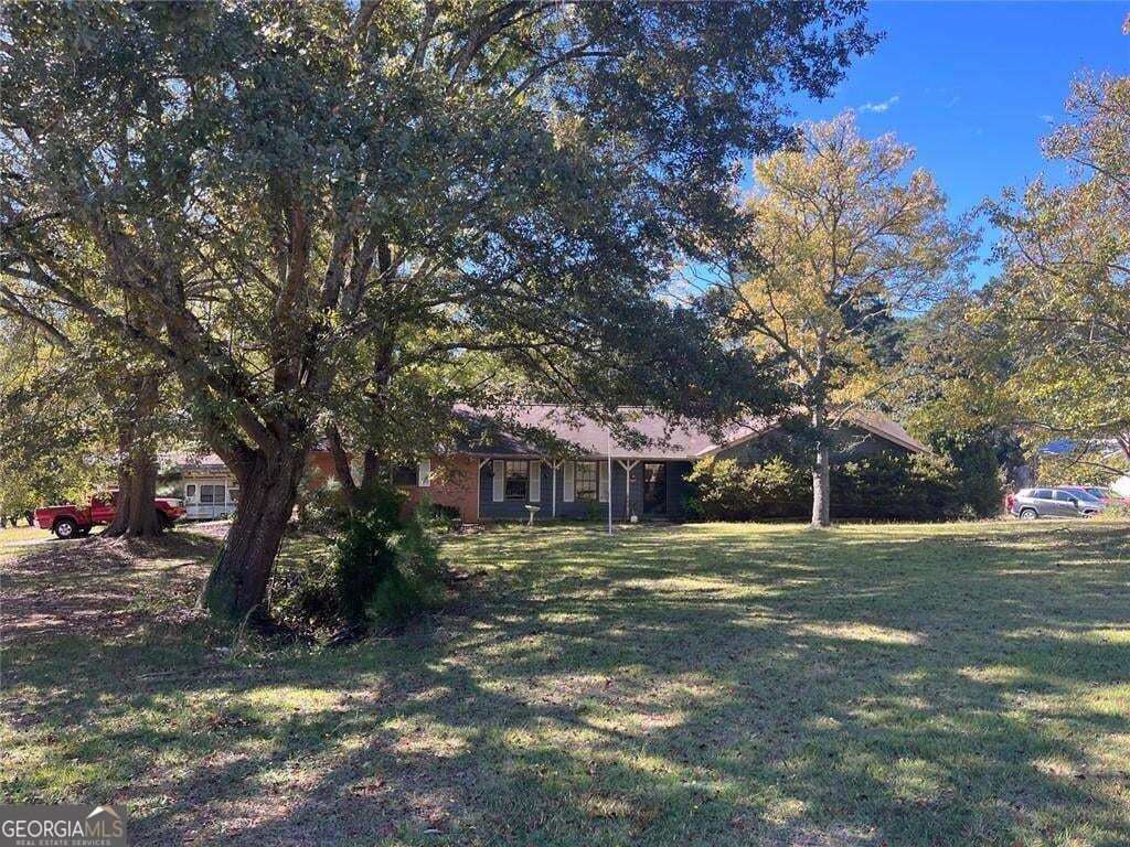 Media Image 1