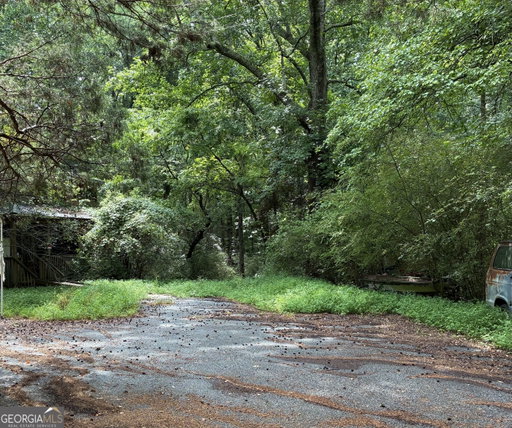 Media Image 3