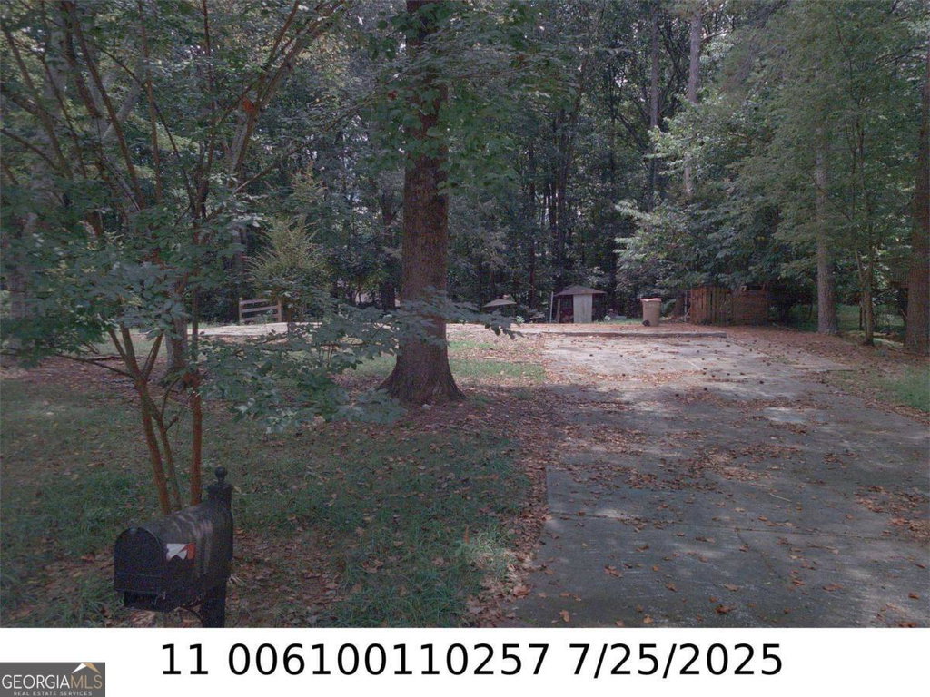 Media Image 1