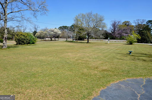 Media Image 2
