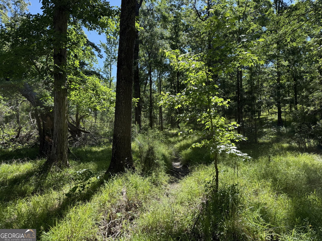 Image Unavailable