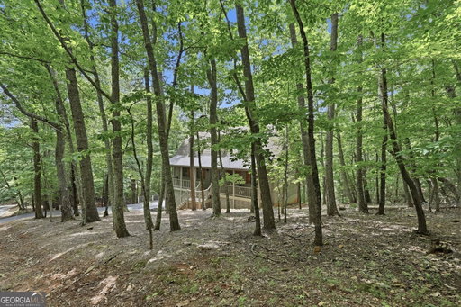 Media Image 2