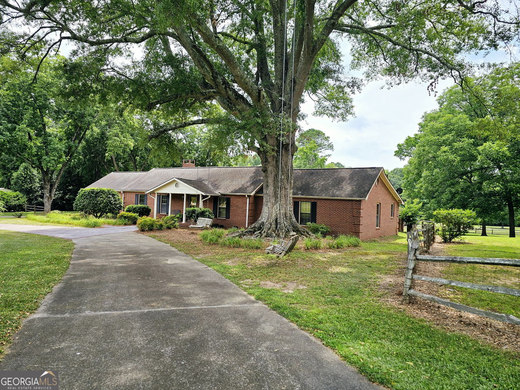 Media Image 1