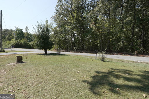 Media Image 3