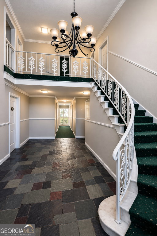 Media Image 2