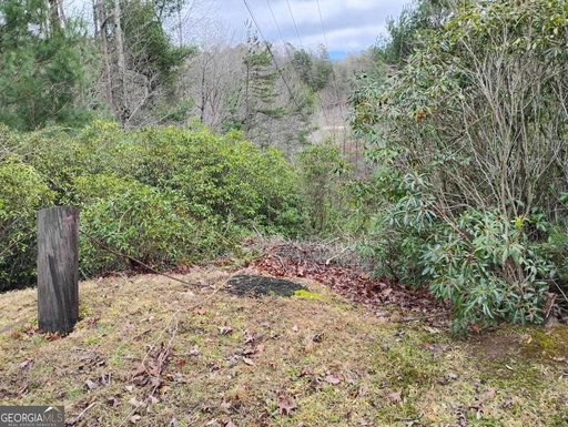 Media Image 2