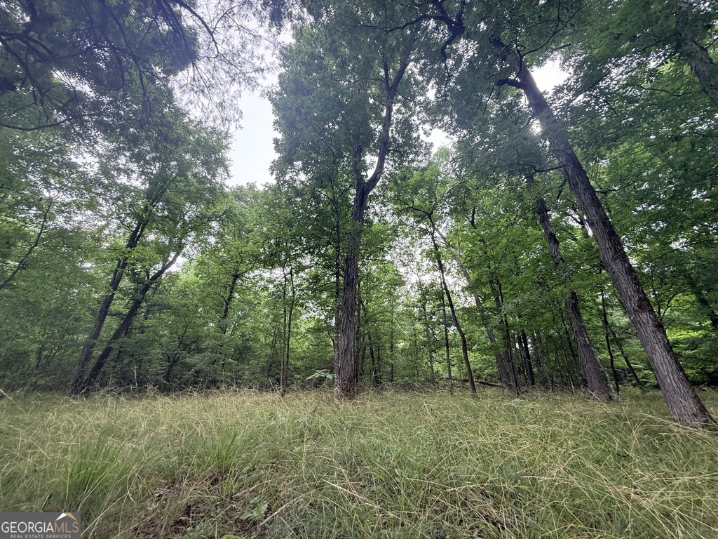 Image Unavailable