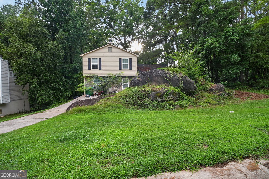 Media Image 1