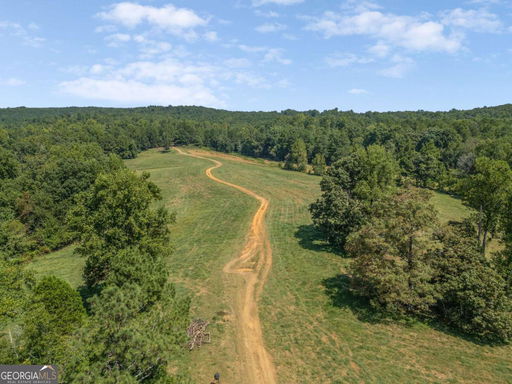 Media Image 3