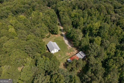 Media Image 2