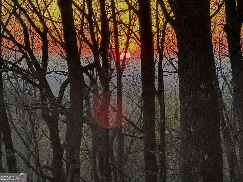 Image Unavailable
