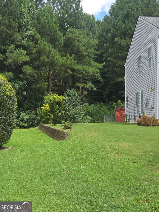 Media Image 3