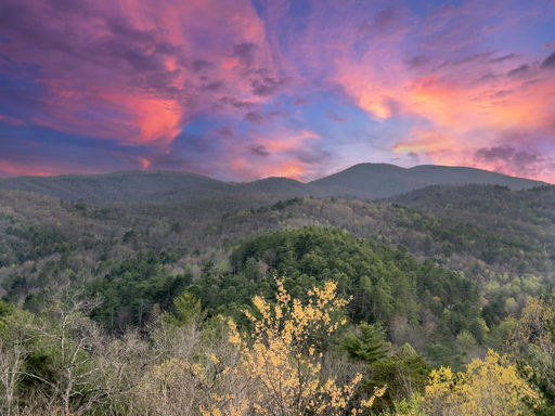 Media Image 2