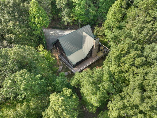 Media Image 2