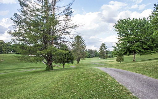 Media Image 3