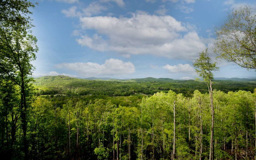 Media Image 3