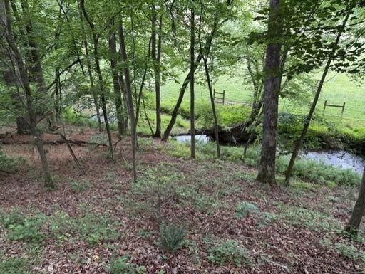 Media Image 3