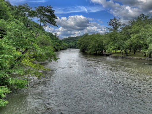 Media Image 3