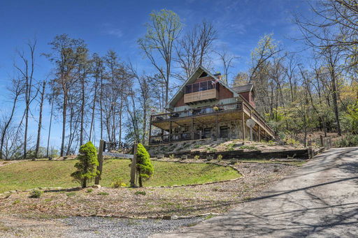 Media Image 2