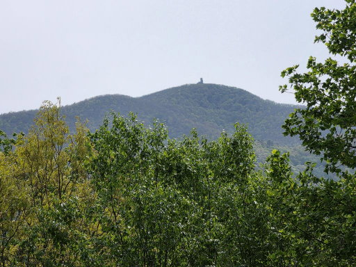 Media Image 2