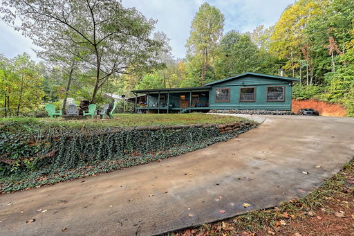 Media Image 3